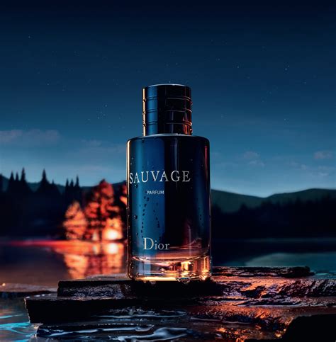 parfum pour homme dior sauvage|dior sauvage parfum chemist warehouse.